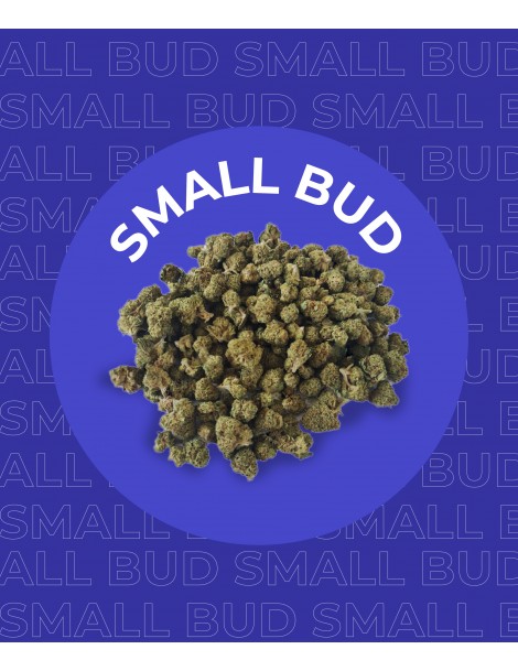 Des fleurs de CBD Small Bud