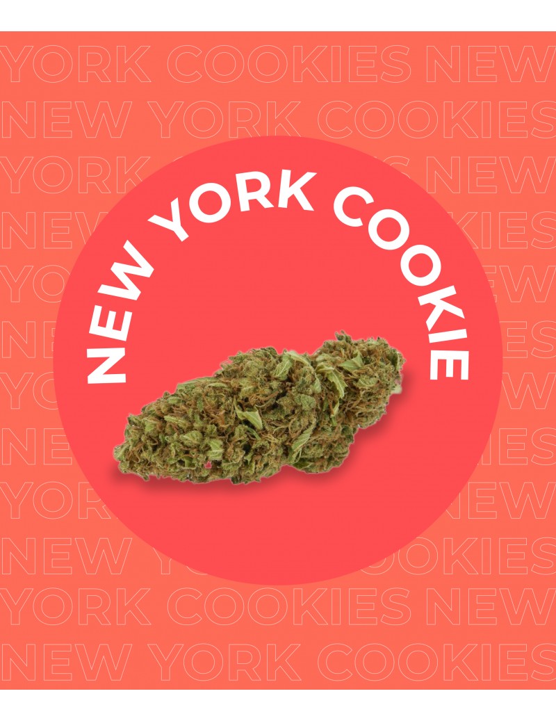 Une fleur de CBD NEW YORK COOKIES