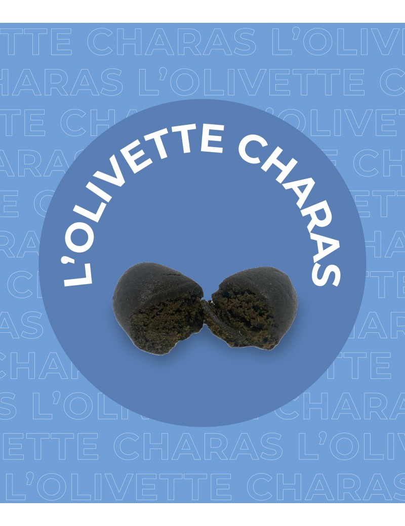 Une olivette charas 12% de CBD