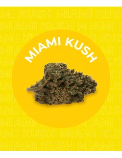 Une fleur de CBD Miami Kush