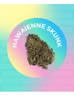 Fleur Hawaïenne Skunk de CBD