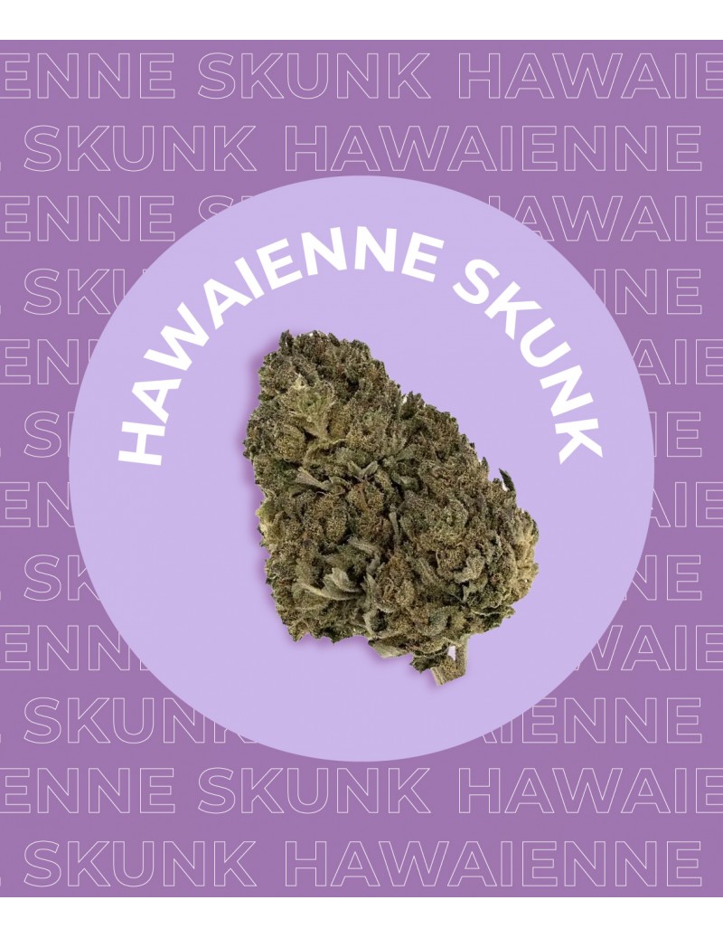 Fleur Hawaïenne Skunk de CBD