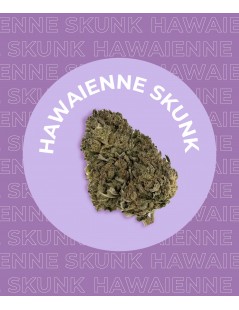 Fleur Hawaïenne Skunk de CBD