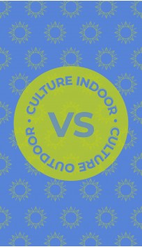 Culture Indoor VS Culture Outdoor